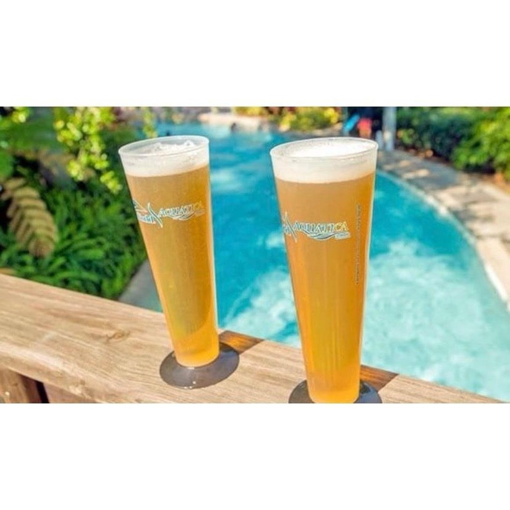 SeaWorld Aquatica Souvenir Pilsner Glasses Set of 2 Frosted Plastic Cups Logo